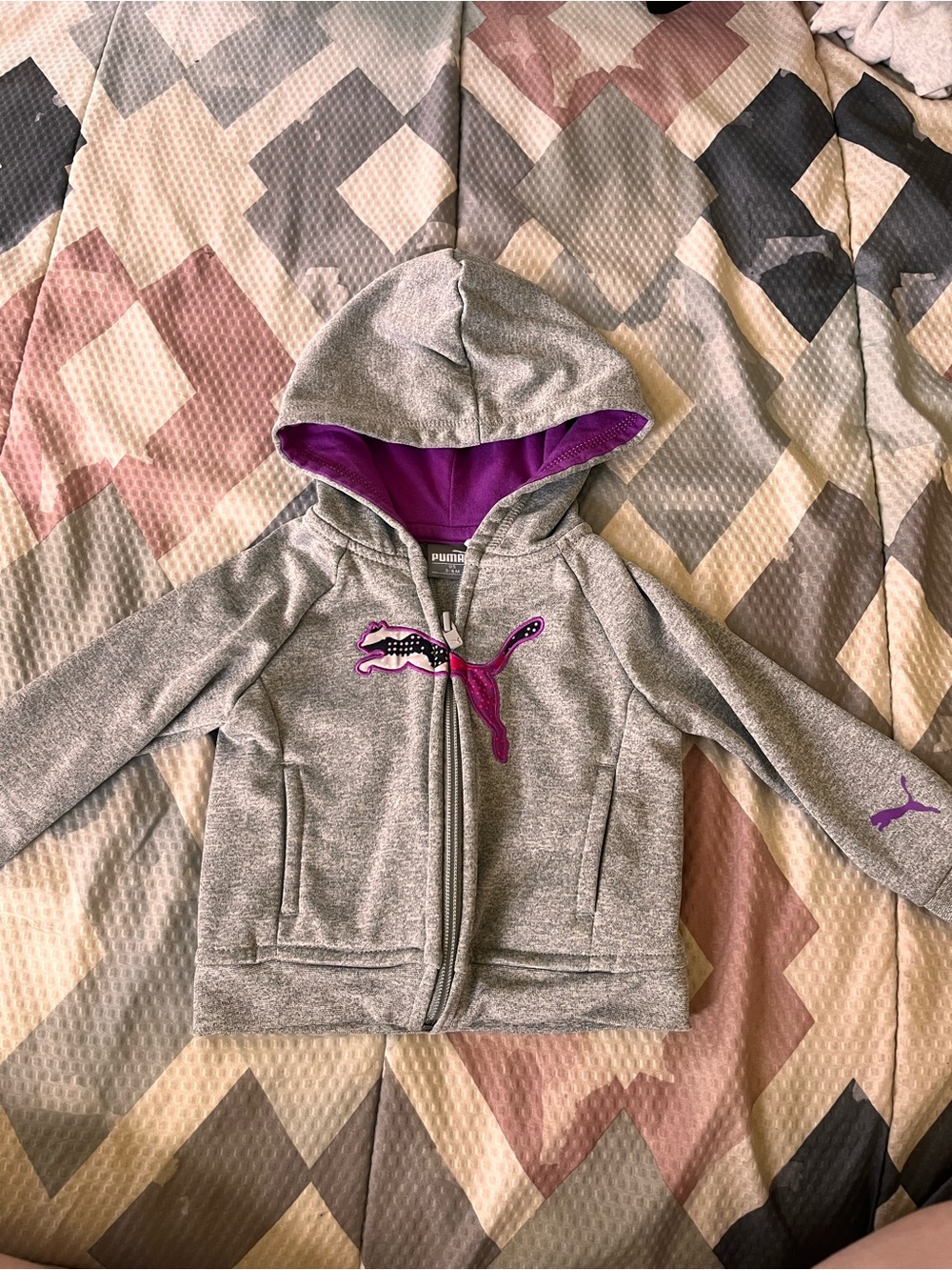 Puma Kids Gray Zip Hoodie with Purple Lining and Logo